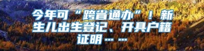 今年可“跨省通办”！新生儿出生登记、开具户籍证明……