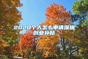 2020个人怎么申请深圳创业补贴