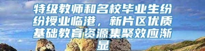 特级教师和名校毕业生纷纷授业临港，新片区优质基础教育资源集聚效应渐显