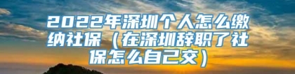 2022年深圳个人怎么缴纳社保（在深圳辞职了社保怎么自己交）