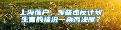 上海落户，哪些违反计划生育的情况一票否决呢？