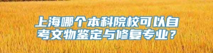 上海哪个本科院校可以自考文物鉴定与修复专业？