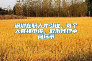 深圳在职人才引进，可个人直接申报，取消代理中间环节