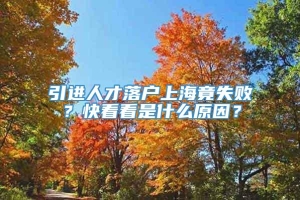 引进人才落户上海竟失败？快看看是什么原因？