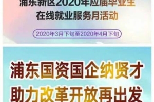 “三多”为毕业生托起稳稳的幸福，浦东新区今年超8成高校毕业生实现就业