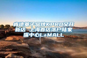 肯德基子品牌KPRO又开新店 上海首店落户陆家嘴中心L+MALL