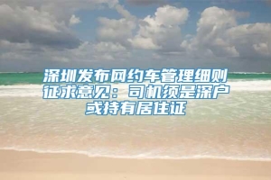 深圳发布网约车管理细则征求意见：司机须是深户或持有居住证