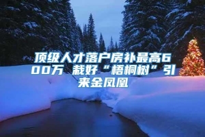 顶级人才落户房补最高600万 栽好“梧桐树”引来金凤凰