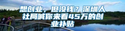 想创业，但没钱？深圳人社局喊你来看45万的创业补贴