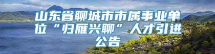 山东省聊城市市属事业单位“归雁兴聊”人才引进公告