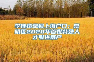 李佳琦拿到上海户口：崇明区2020年首批特殊人才引进落户