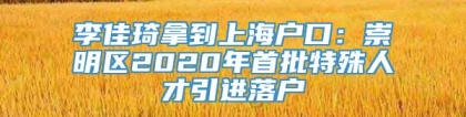 李佳琦拿到上海户口：崇明区2020年首批特殊人才引进落户