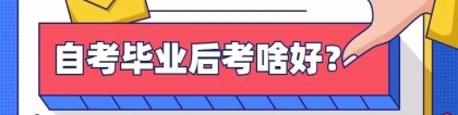 拿到自考本科学历后，考研、考公、考教师，哪个更好？