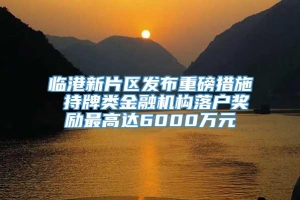 临港新片区发布重磅措施 持牌类金融机构落户奖励最高达6000万元