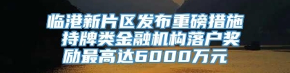 临港新片区发布重磅措施 持牌类金融机构落户奖励最高达6000万元