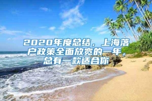 2020年度总结，上海落户政策全面放宽的一年，总有一款适合你