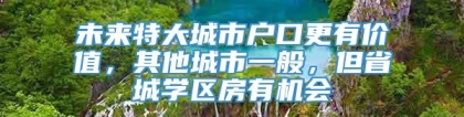 未来特大城市户口更有价值，其他城市一般，但省城学区房有机会