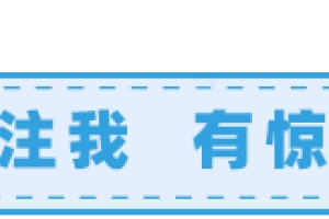 2020年深圳落户人才引进补贴详解