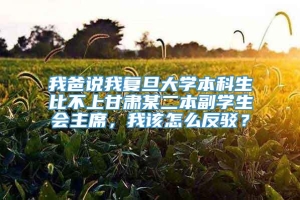 我爸说我复旦大学本科生比不上甘肃某二本副学生会主席，我该怎么反驳？