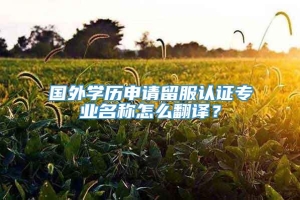 国外学历申请留服认证专业名称怎么翻译？