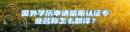 国外学历申请留服认证专业名称怎么翻译？