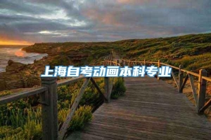 上海自考动画本科专业