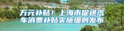 万元补贴！上海市促进汽车消费补贴实施细则发布