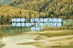 问律师：公司没能为应届毕业生落户上海户口该赔偿吗？