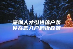 深圳人才引进落户条件在职入户秒批政策