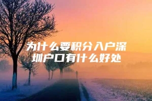 为什么要积分入户深圳户口有什么好处