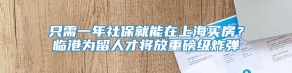 只需一年社保就能在上海买房？临港为留人才将放重磅级炸弹