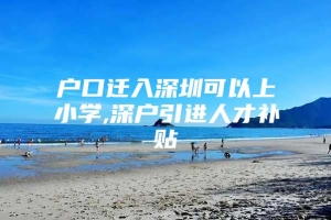 户口迁入深圳可以上小学,深户引进人才补贴