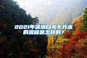 2021年深圳自考专升本的流程是怎样的？