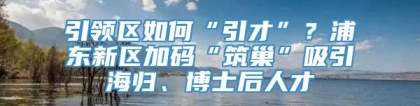 引领区如何“引才”？浦东新区加码“筑巢”吸引海归、博士后人才