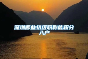 深圳哪些初级职称能积分入户