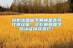 辞职出国留学期间是否可代缴社保，会影响回国学历认证以及落户？