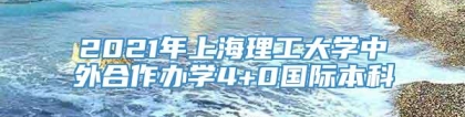 2021年上海理工大学中外合作办学4+0国际本科