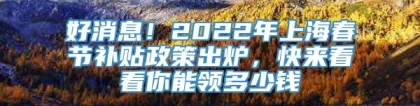 好消息！2022年上海春节补贴政策出炉，快来看看你能领多少钱