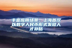 丰富应用场景，上海首次以数字人民币形式发放人才补贴