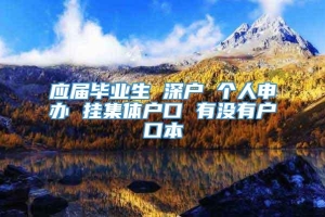 应届毕业生 深户 个人申办 挂集体户口 有没有户口本