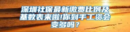 深圳社保最新缴费比例及基数表来啦!你到手工资会变多吗？