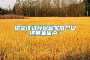 你是该选择深圳家庭户口还是集体户？