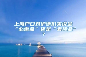 上海户口对沪漂们来说是“必需品”还是“奢侈品”？