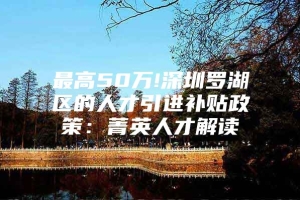 最高50万!深圳罗湖区的人才引进补贴政策：菁英人才解读