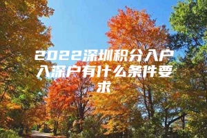 2022深圳积分入户入深户有什么条件要求