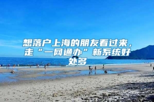 想落户上海的朋友看过来，走“一网通办”新系统好处多