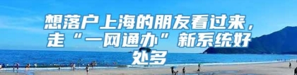 想落户上海的朋友看过来，走“一网通办”新系统好处多