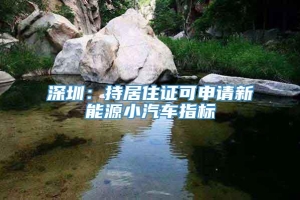 深圳：持居住证可申请新能源小汽车指标