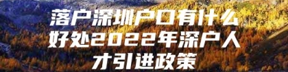 落户深圳户口有什么好处2022年深户人才引进政策