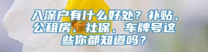 入深户有什么好处？补贴、公租房、社保、车牌号这些你都知道吗？